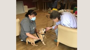 Hornchurch care home petting dog visit with Residents